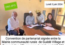 “Back to the roots”: rentrer au Sénégal pour aider à le reconstruire
